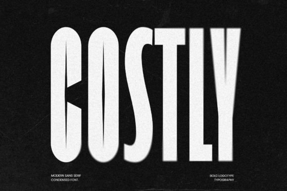 Costly Typeface for Playful Branding