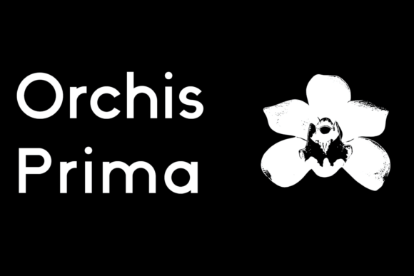 Orchis Prima Typeface for Makers