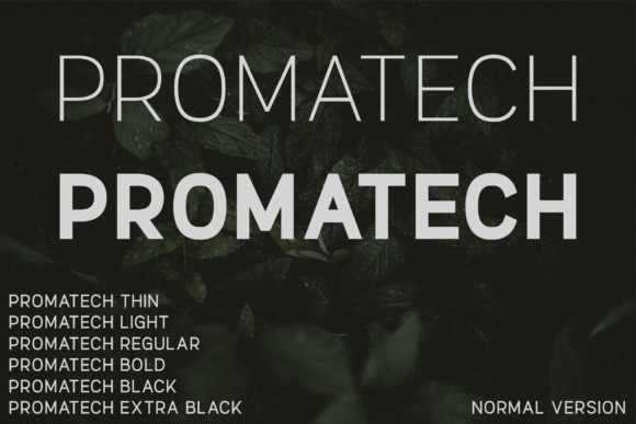 Promatech Font for Modern Web Design